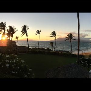 Meet your Posher, Toni